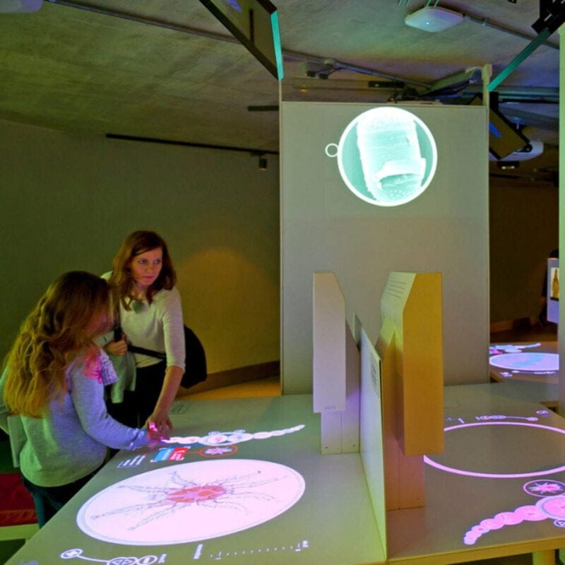 Pintura Proyección Interactiva en una exhibición de ciencias interactiva