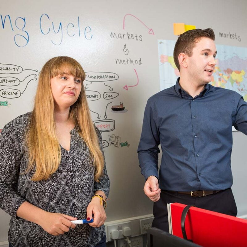 Magnetic whiteboard paint clear wall for office presentations